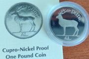 Irish 1 Pound Proof 1990