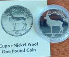 Irish 1 Pound Proof 1990