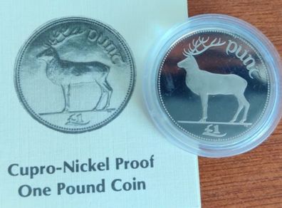 Irish 1 Pound Proof 1990