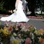 Wedding Dress. Free Tracked Postage! Image 5