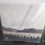 Foxing - The Albatross: Ten Years (LP, Album, Ltd, RE, Lig) Vinyl Image 3