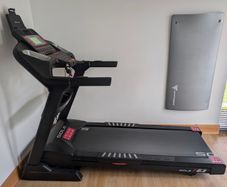Sole F63 Treadmill