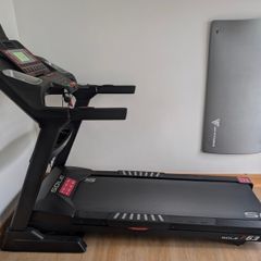 Sole F63 Treadmill