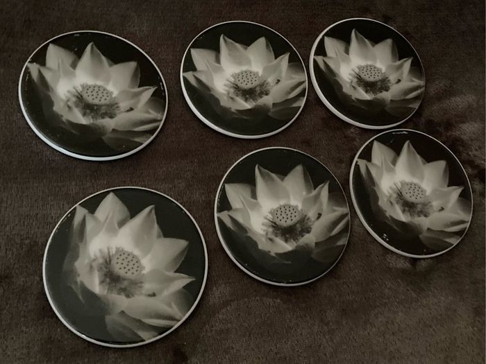 Coasters x6