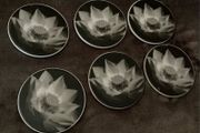 Coasters x6