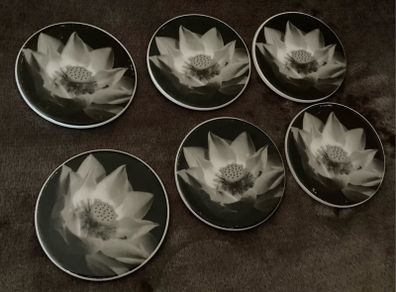 Coasters x6
