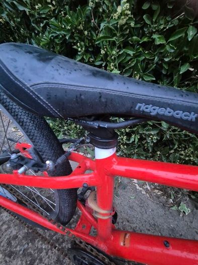 Ridgeback 24in Boy's Bike