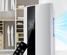 2200ml Dehumidifier with Air Purifier Portable for Condensation Moisture Damp RC