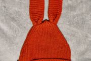 Winter hat with ears