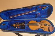 Violin