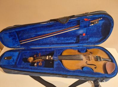 Violin