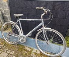Mens bicycle
