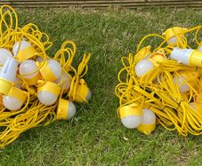 Festoon lights