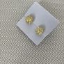 Crystal Earrings Image 3