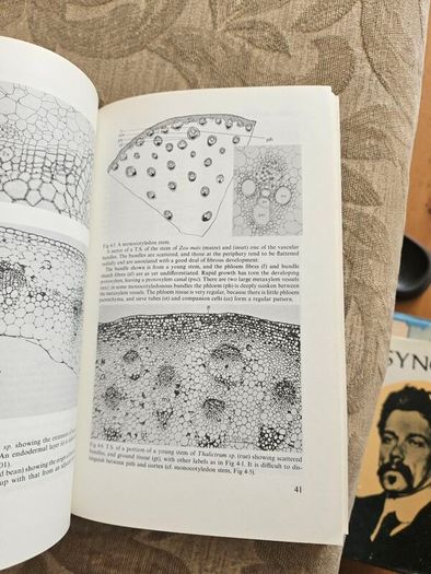 The Working Plant. By D.a. Coult. 1977 Paperback In Good Condition. See Photos For Same.