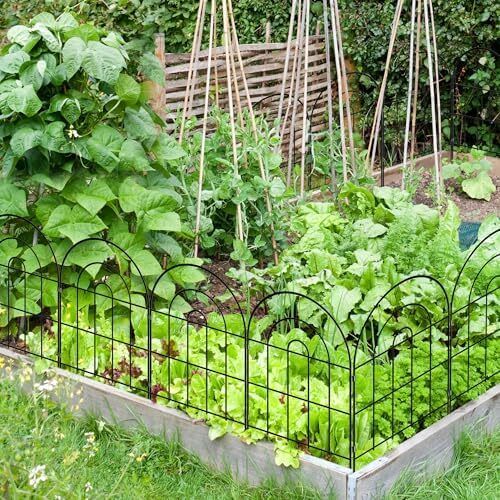 Decorative Garden Fence