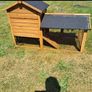 hen house/ rabbit hutch Image 3
