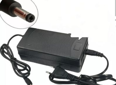 Fiido m1/ m1 Pro 54.6V 2A Charger 13S 48V Li-ion Battery Charger Output DC 54.6V brand New