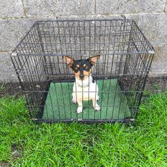 dog crate