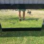 Mirror Image 6