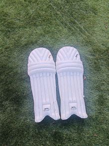 Cricket