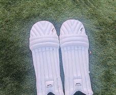 Cricket