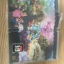Super Mario bros wonder Image 2
