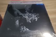 David Bowie rock and roll star 2024 vinyl