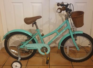 Girls Bicycle 20 inch
