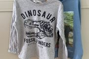 Dinosaur themed long sleeve tops 2-4 years