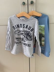 Dinosaur themed long sleeve tops 2-4 years