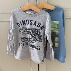 Dinosaur themed long sleeve tops 2-4 years