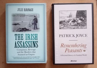 Irish Assassins/Remembering Peasants Irish Authors Books