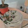 Stellar Art Deco teapot Image 3