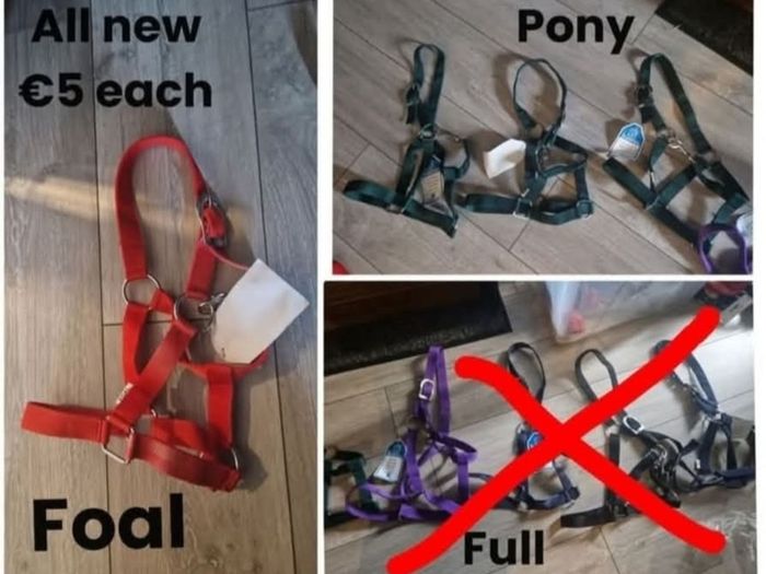 headcollars