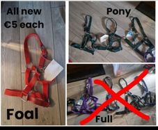 headcollars