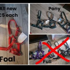 headcollars
