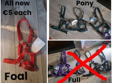 headcollars