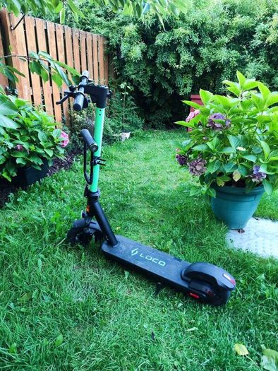 Loco Scooter
