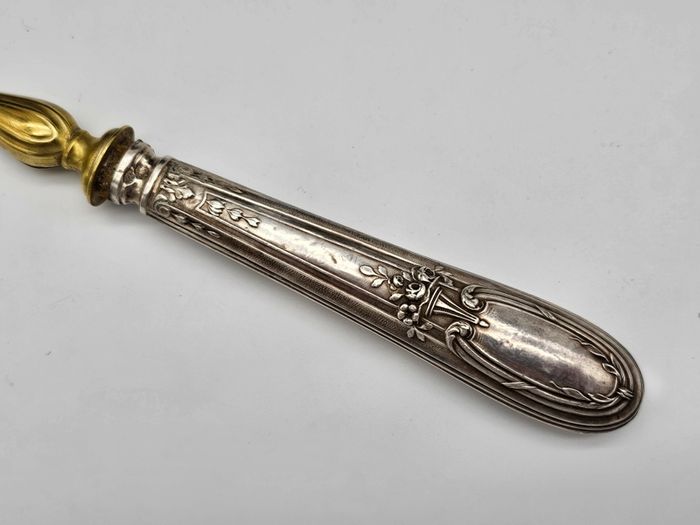 Antique 1800s Swiss Large Cream Spoon with Silver Handle