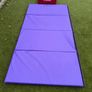 Gymnastics Mat & Wedge Image 8