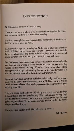 Fresh Water And Other Stories. By Niel Brosnan. Paperback In Good Condition.