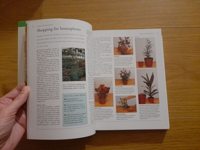 Complete Houseplant Handbook
