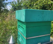 Poly National Hive with Established Colony