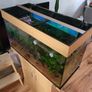Juwel 115 litre aquarium Image 2