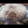 genuine fur Image 3