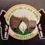 Irish Republican Army Undefeated pin badge. Image 4