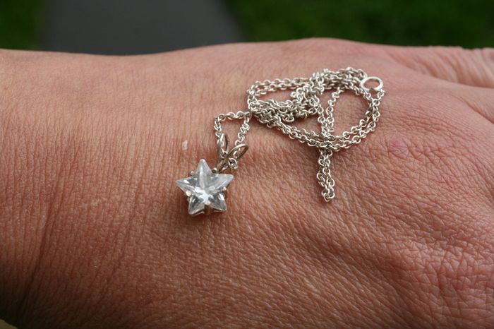 Vintage Sterling Silver Star of the North (chain length 16")