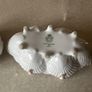 Aynsley Wild Violet Shell shaped Dish & Trinket Box Image 7