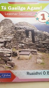 Ta Gaeilge Agam 1 Workbook